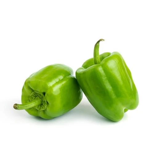 Dolma Biber Kg.