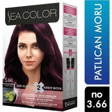 Sea Color Kit Patlıcan Moru 3.66 2X50Ml